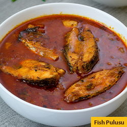 FISH PULUSU